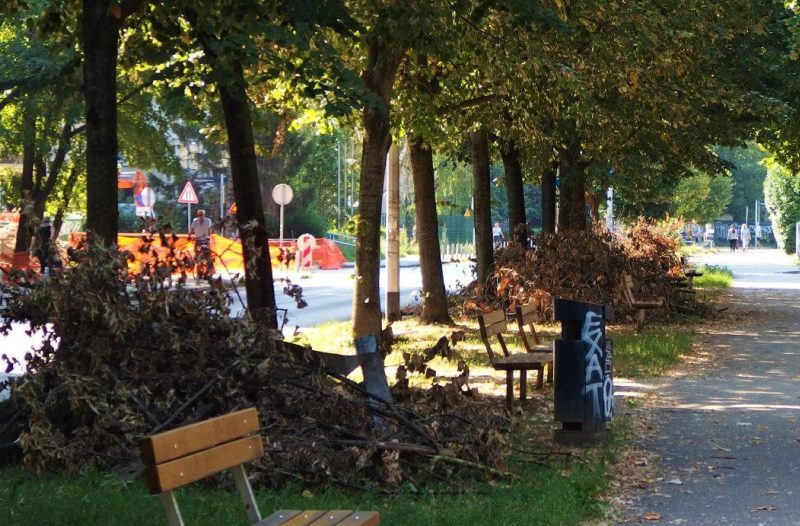 Zagreb - mojzagreb.info, Politika - Možemo i Tomašević imali su niz dobrih ideja i prijedloga, ali raspali su im se organizacijski kapaciteti kao kula od karata - poručuju s tiskovne HSLS a
