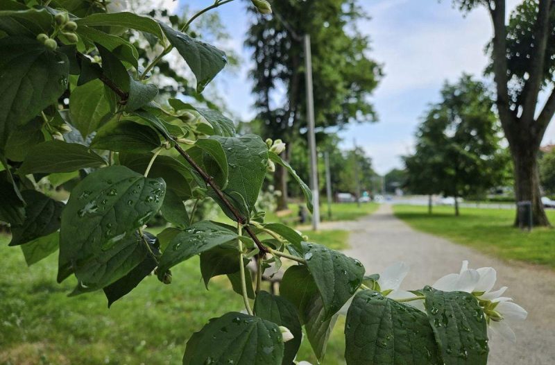 Zagreb - mojzagreb.info - Škola kršćanske meditacije (online) 2023. godine