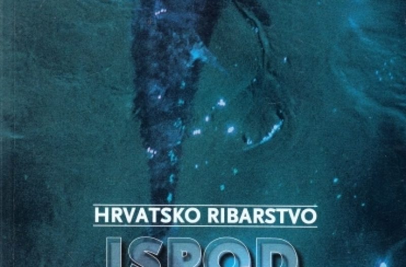 Zagreb - mojzagreb.info - Nije do Gotovine nego do tržišta - piše Igor Lasić