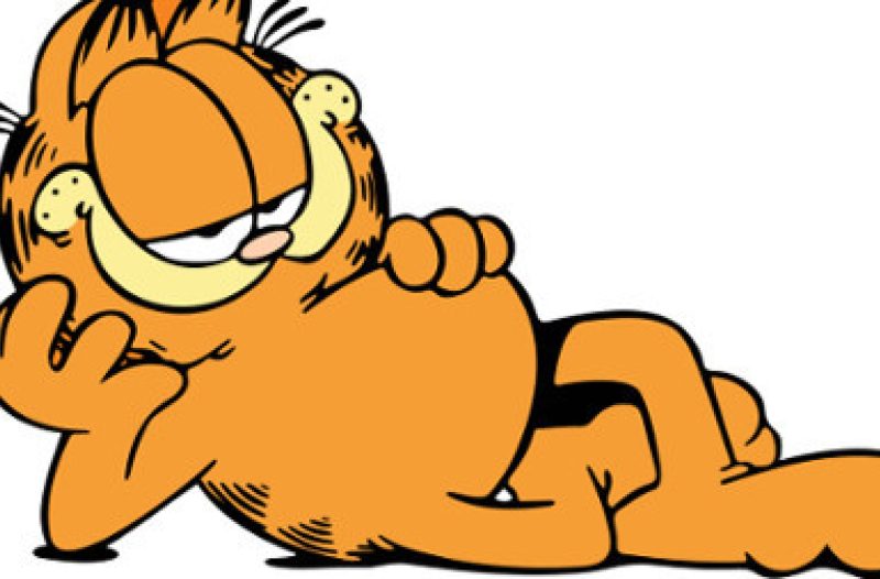 Zagreb - mojzagreb.info - PRVI PUT: Garfield - najčitaniji strip na svijetu