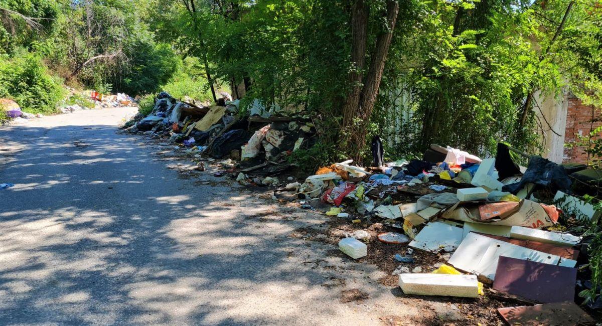Zagreb - mojzagreb.info, Politika - Možemo i Tomašević imali su niz dobrih ideja i prijedloga, ali raspali su im se organizacijski kapaciteti kao kula od karata - poručuju s tiskovne HSLS a